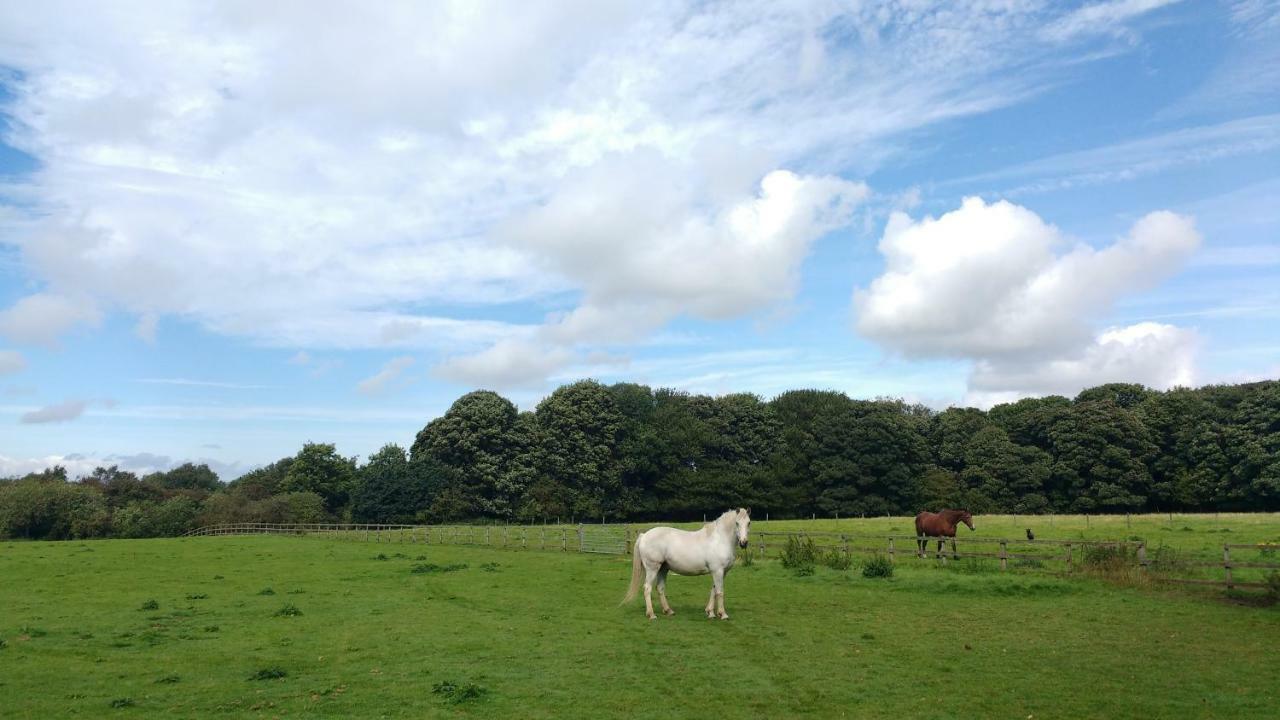 Beech Hill B&B Weaverham エクステリア 写真